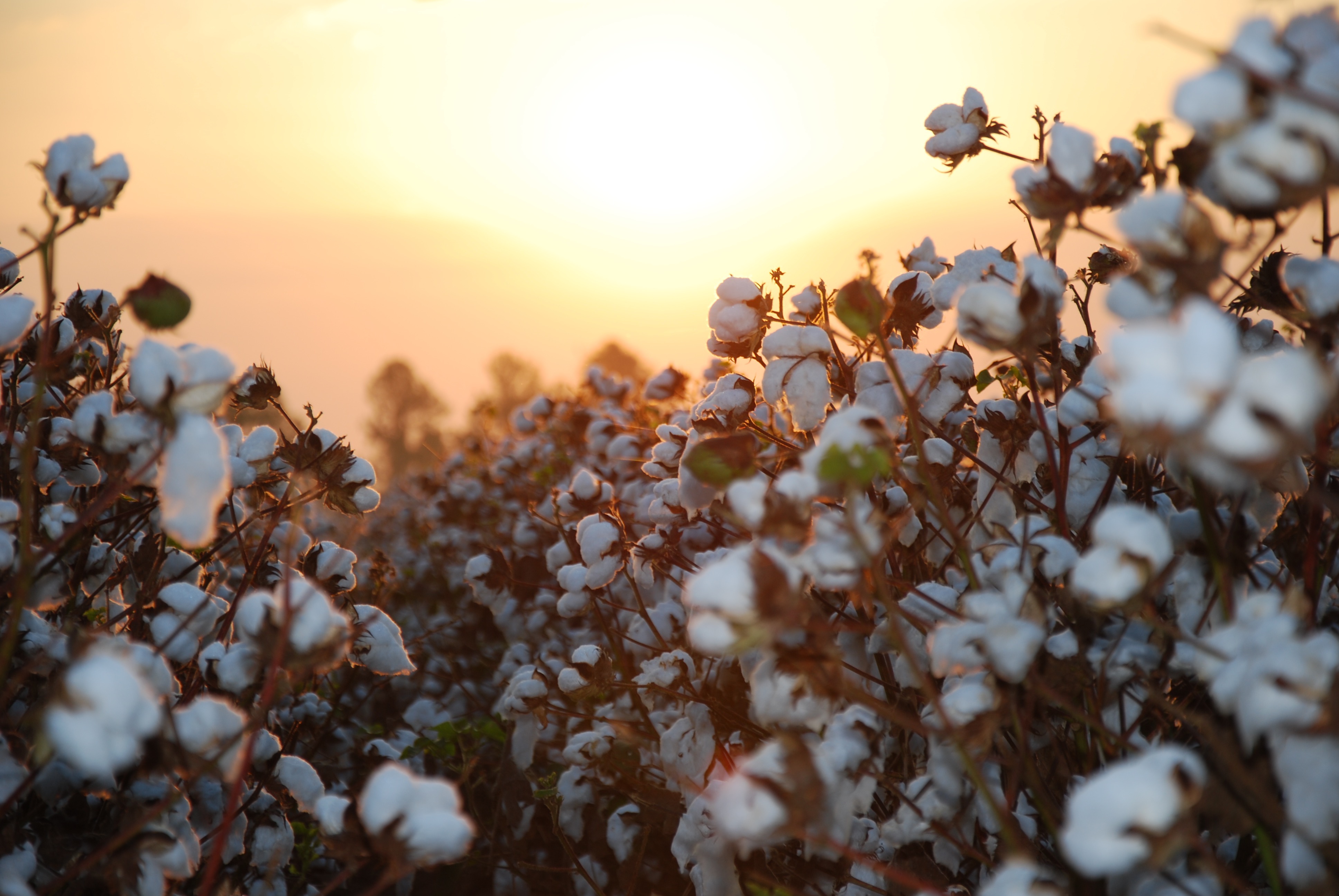 The Rising Cost of Farming — and How the Right Tools Can Help